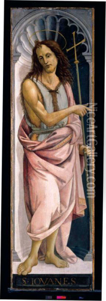 Saint John The Baptist Oil Painting - Bartolomeo Di Giovanni