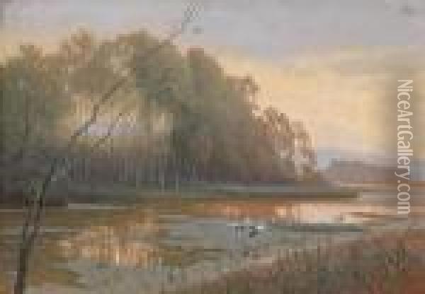 Storche In Aulandschaft Oil Painting - Rudolf Weber