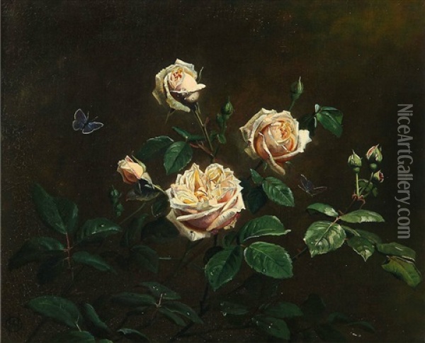 Cream-colored Roses In Bloom Oil Painting - Olaf August Hermansen