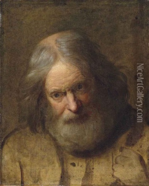 Head Study Of A Bearded Man Oil Painting - Joseph Wright