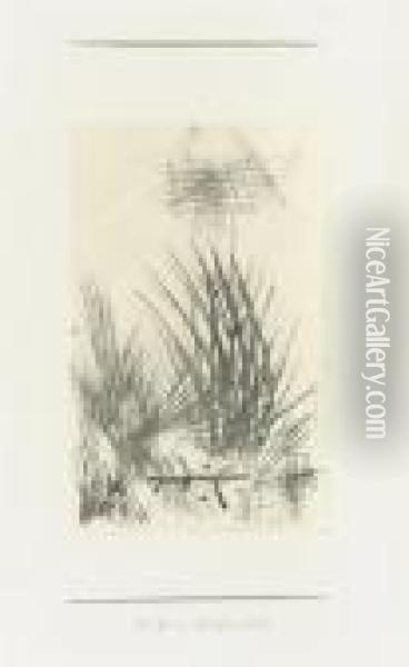 Es Wachst Gras Daruber. 1932. (grass Growing Over) Oil Painting - Paul Klee