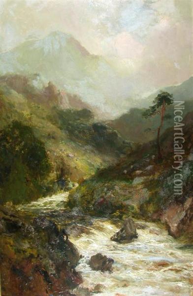 Sheep Grazing In The Highland Mist Oil Painting - John Falconar Slater