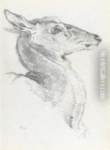 Head Of A Deer For The Chevy Chase Oil Painting - Landseer, Sir Edwin