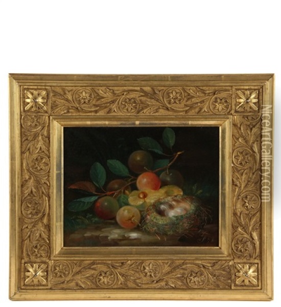 Still Life With Bird's Nest And Fruit Oil Painting - George Forster