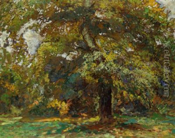 A Tree Oil Painting - Gustav Macoun