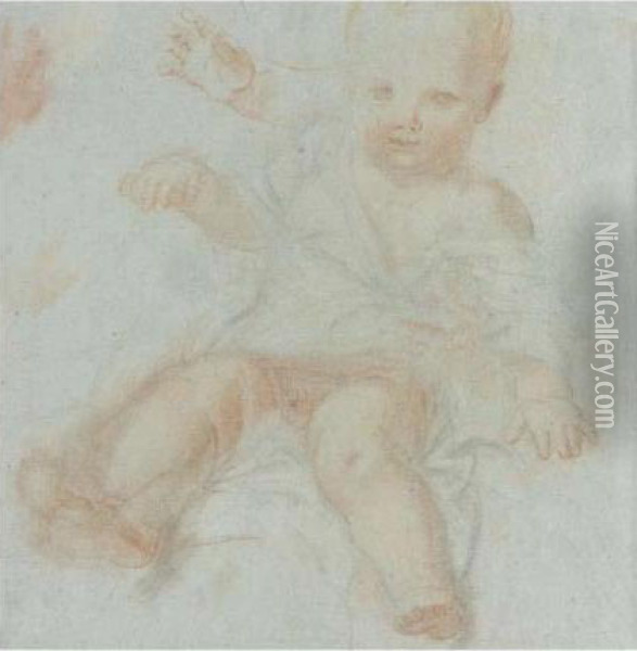 Recto And Verso: Study Of A Child Oil Painting - Carlo Maratta or Maratti
