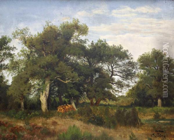 Baumbestandene Sommerlandschaft Mit Holzstapel Oil Painting - Carl Julius Ludwig