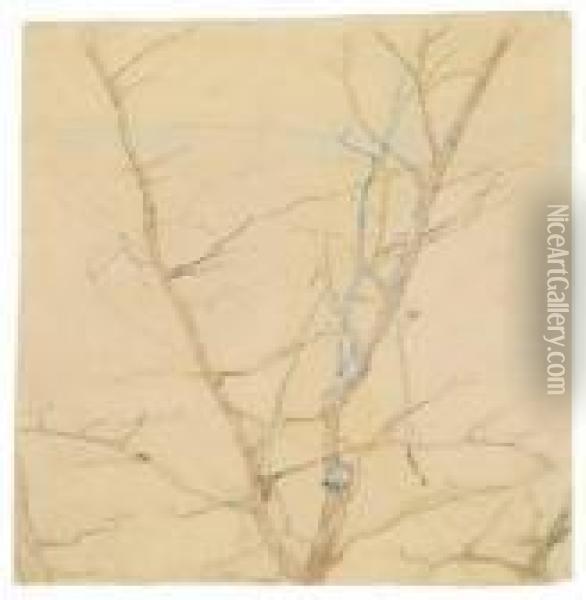 Baum Im Vorfruhling Oil Painting - Egon Schiele