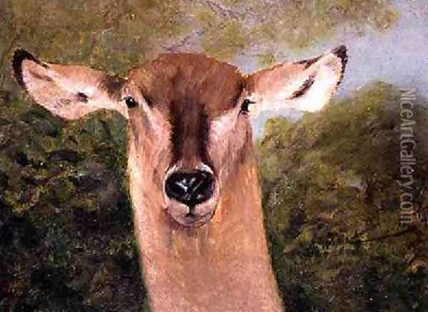 Head of an Antelope Oil Painting - Wilhelm Kuhnert