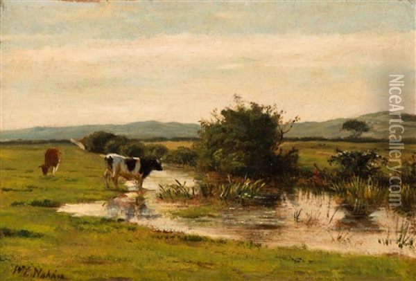 Cows By A Brook In Dekkersduin Oil Painting - Willem Carel Nakken