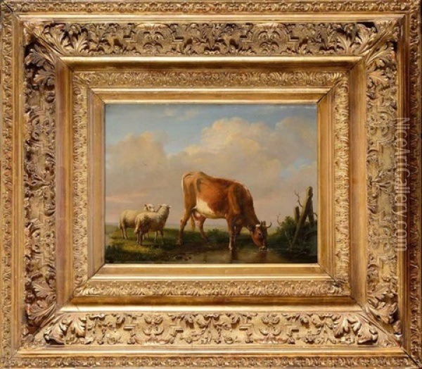 Vache Et Moutons Dans Les Paturages Oil Painting - Louis Pierre Verwee