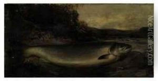 Salmon On A River Bank Oil Painting - Henry Leonidas Rolfe