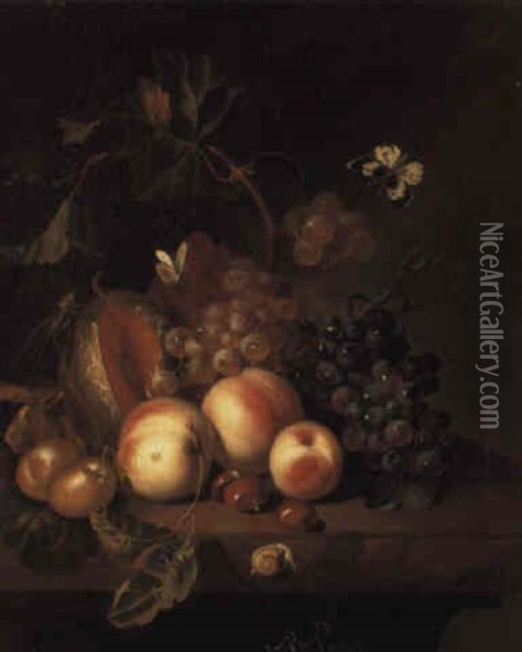 Peaches, Plums, Grapes, A Melon And Chesnuts With Insects On A Stone Ledge Oil Painting - Rachel Ruysch