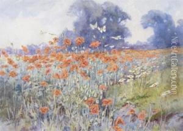 Poppy Field Withbutterflies Oil Painting - Lilian Stannard