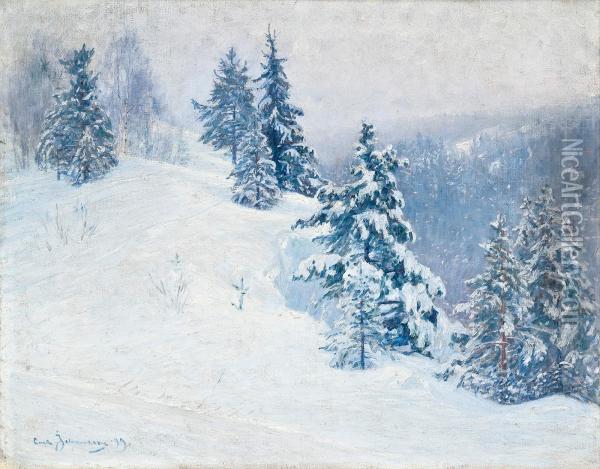 Winter Day Oil Painting - Carl August Johansson