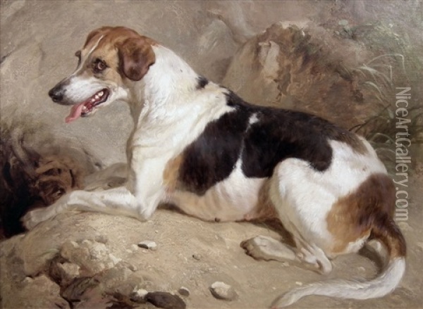 Foxhound At An Earth - Portrait Of A Black And Tan Hound Seated On A Rocky Outcrop Oil Painting - Thomas Woodward