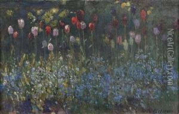 Tulips And Forget-me-not Oil Painting - Patrick William Adam