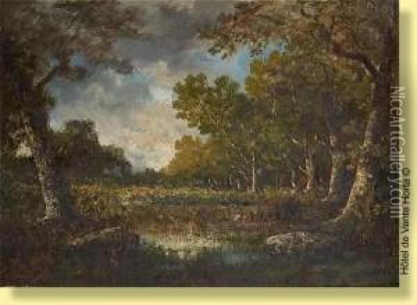 Rai De Lumiere Sur L'etang Oil Painting - Francois Visconti