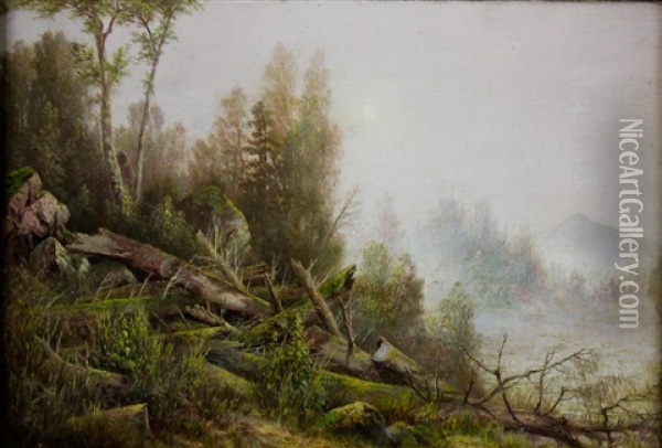 Forest Landscape Oil Painting - Thomas Lochlan Smith