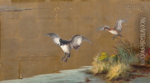 Ducks In Flight Oil Painting - Maud Earl