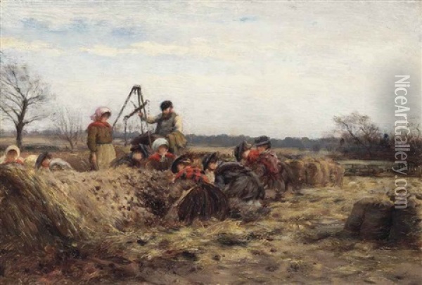 At The Potato Pits Oil Painting - William Darling MacKay