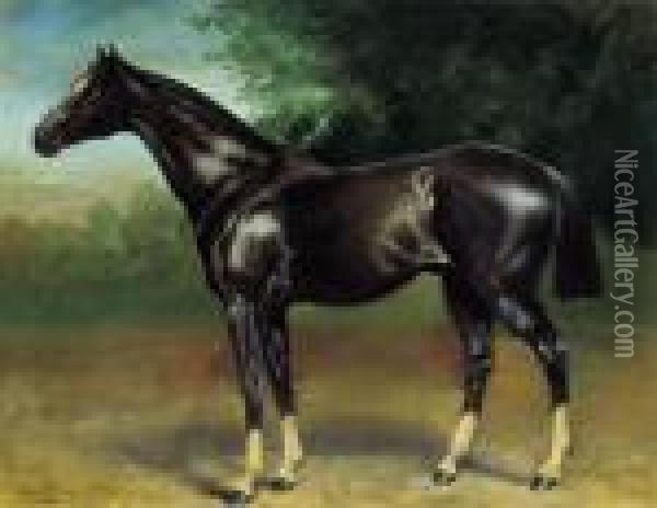 Racing Horse Oil Painting - Julius von Blaas