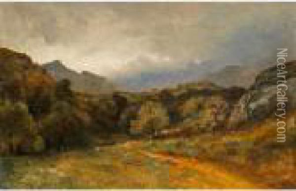 Prairie, Arbres, Chemin Au Pied Des Alpes
Meadow, Trees, Path Beneath The Alps Oil Painting - Alexandre Calame