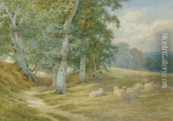 Herding Sheep Along A Surrey Lane In Autumn Oil Painting - Charles James Adams