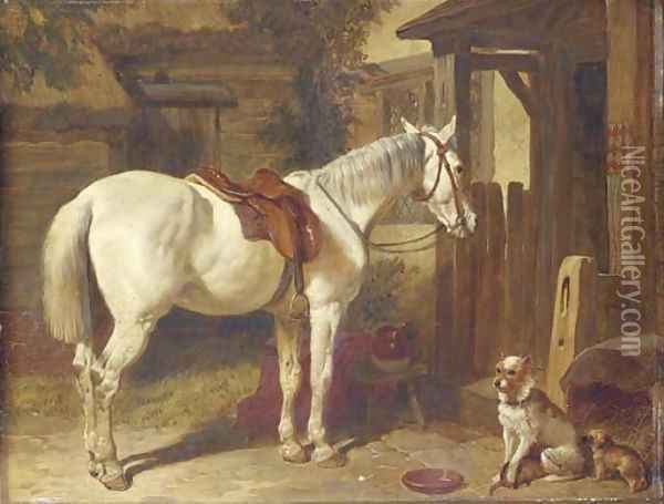 A saddled grey pony and dogs outside an inn Oil Painting - John Frederick Herring Snr