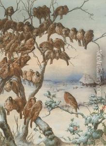 A Flock Of Sparrows And A Robin Perched On A Holy Branch, A Winter Landscape Beyond Oil Painting - Harry Bright