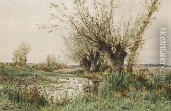 Une Mare Bordee D'arbres Et De Roseaux Oil Painting - Auguste Allonge