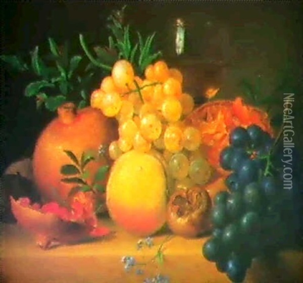 Stilleben Von Trauben Und Granatapfeln. Oil Painting - Jean Louis Prevost