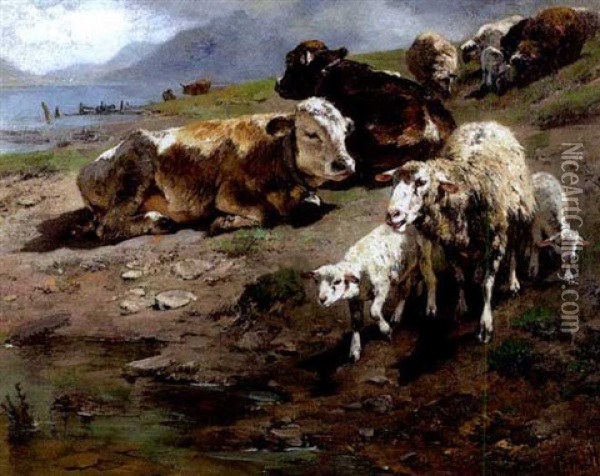 Kuhe Und Schafe Am Ufer Eines Sees Oil Painting - Anton Braith