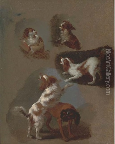 Studies Of Spaniels And A Hound Oil Painting - Adriaen de Gryef