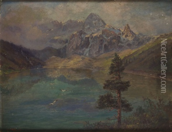 Lake In Tatras Oil Painting - Wladyslaw Stachowski