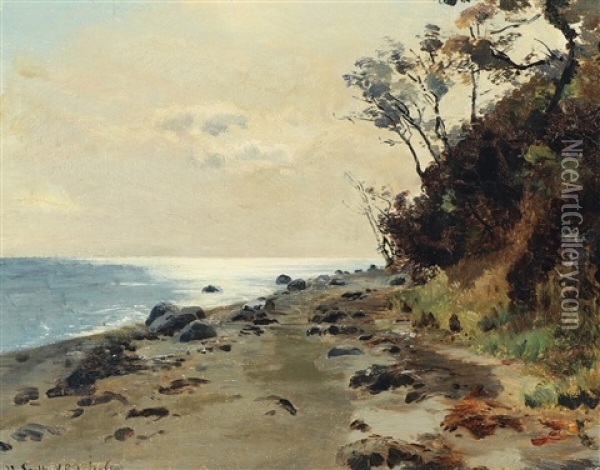 Scenery From Moesgaard Beach Oil Painting - Janus la Cour