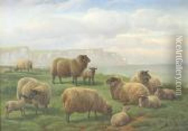 Sheep On A Grassy Clifftop, Chalk Cliffs Beyond Oil Painting - Charles Jones