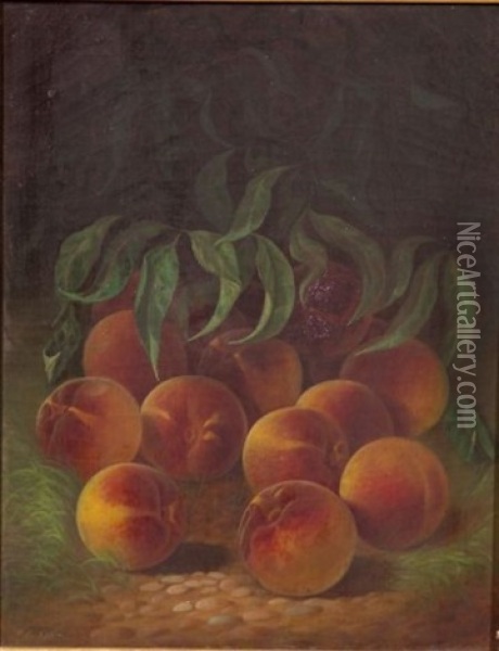 Still Life With Peaches Oil Painting - Carducius Plantagenet Ream