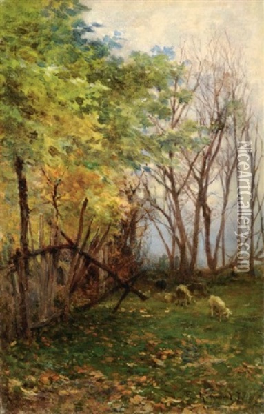 Pastorellla Con Gregge (bosco Con Pecore) Oil Painting - Eugenio Gignous