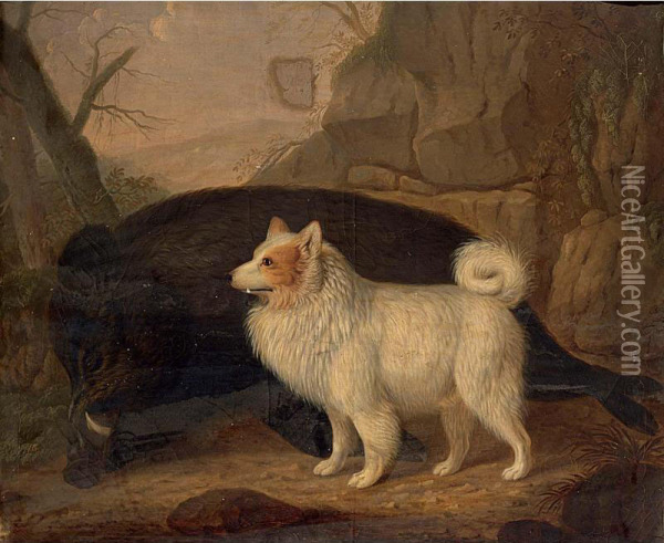 A Dog And A Slain Boar; A Dog Oil Painting - C. Kehren