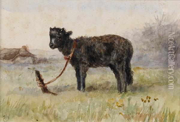 A Black Sheep Tied To A Tree Stump In A Field Oil Painting - Hannah Barlow