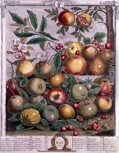 May, from 'Twelve Months of Fruits' Oil Painting - Pieter Casteels