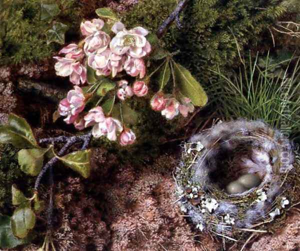 A Birds Nest and Apple Blossom Oil Painting - John Sherrin