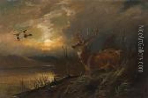 Stag At Dusk Oil Painting - Clarence Roe