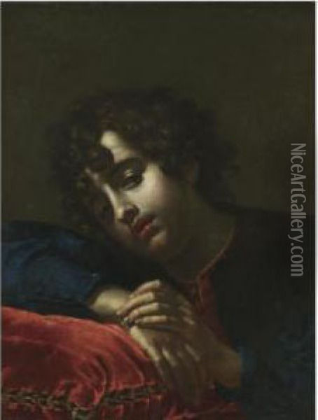 Portrait Of A Boy Leaning On A Red Velvet Cushion Oil Painting - Cesare Dandini