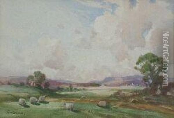 Sheep Grazing In Pasture Oil Painting - Thomas, Tom Campbell