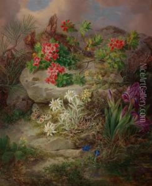 Fiori Alpini Con Farfalla Oil Painting - Josef Lauer