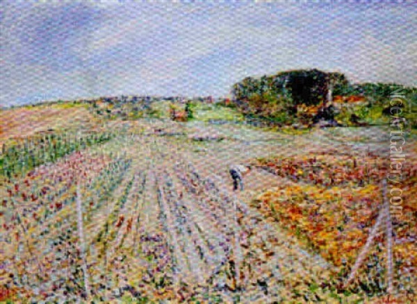 Le Champs De Fleurs Oil Painting - Lucien Adrion