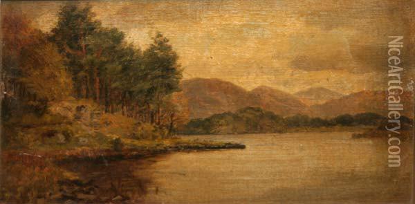 Muckross Lake, Killarney Oil Painting - Alexander Williams