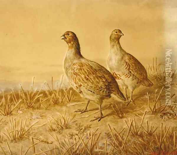 Partridge Oil Painting - Frank Paton